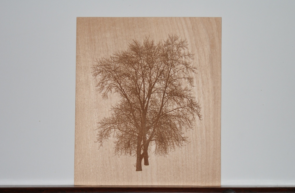 Trees laser engraved. Index.php?action=dlattach;topic=35521